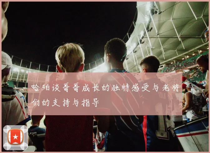 哈珀谈哥哥成长的独特感受与老将们的支持与指导
