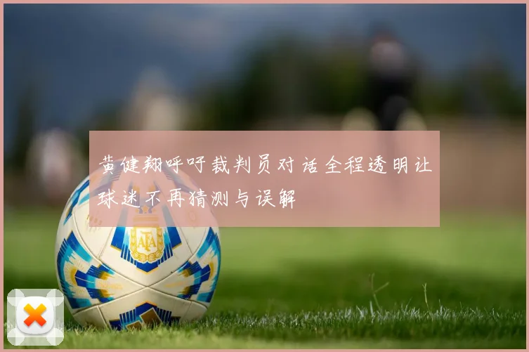 黄健翔呼吁裁判员对话全程透明让球迷不再猜测与误解