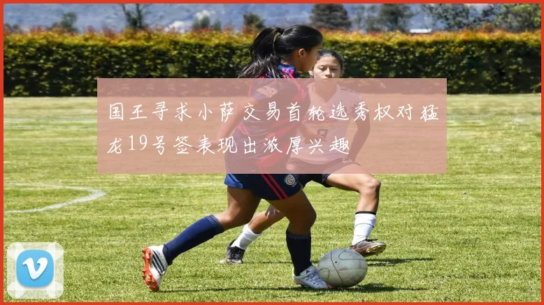 国王寻求小萨交易首轮选秀权对猛龙19号签表现出浓厚兴趣