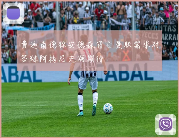 费迪南德称安德森符合曼联需求对签琼阿梅尼充满期待